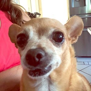 Meet your Posher, Anna